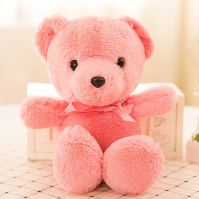 Accessories-Teddy Bear Random color